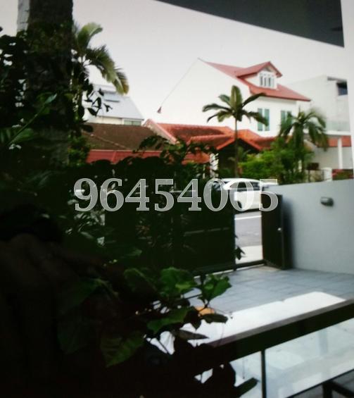 Serangoon Garden Estate (D19), Semi-Detached #91222322
